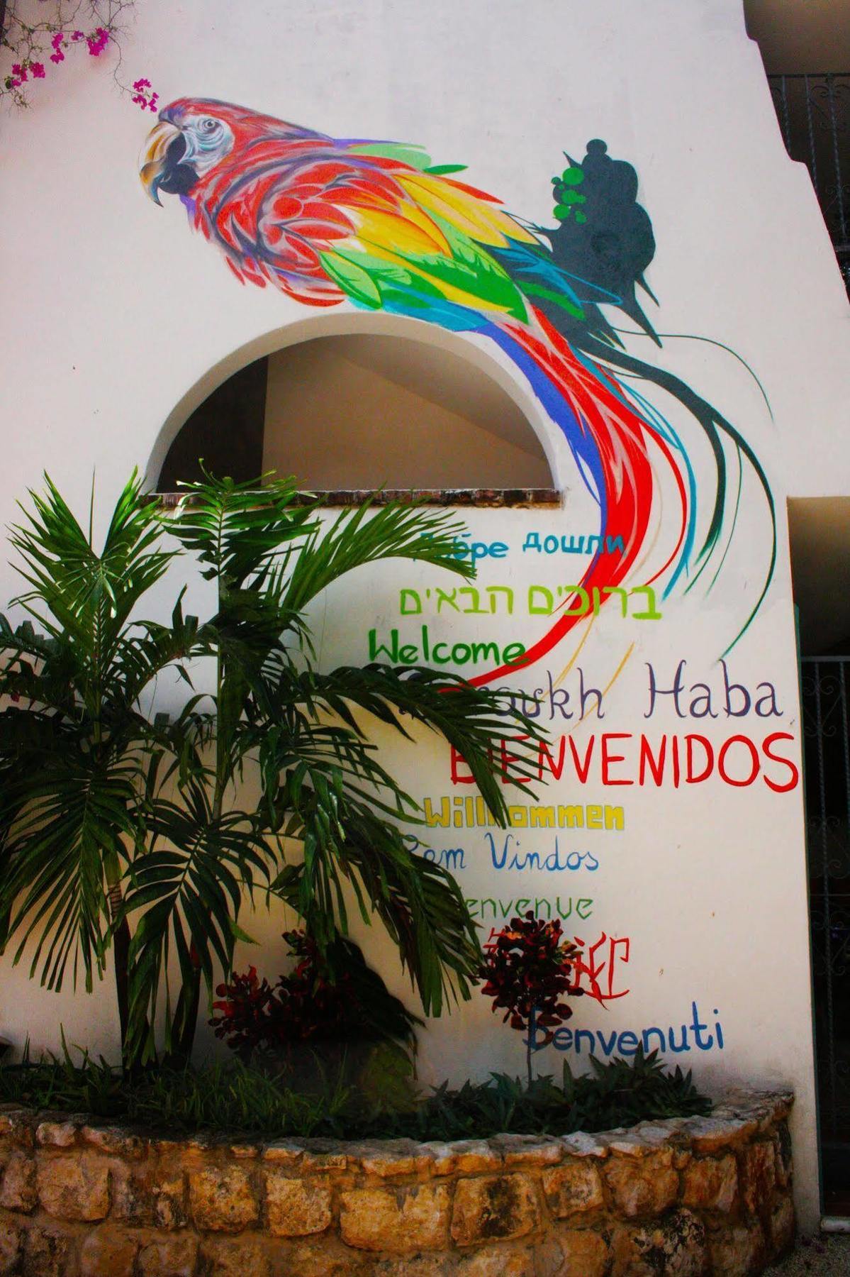 The Yak Hostel Playa del Carmen Eksteriør billede