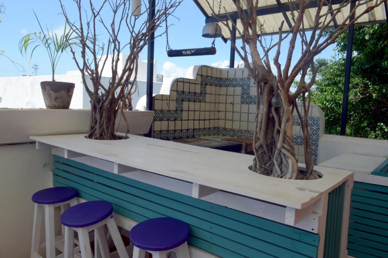 The Yak Hostel Playa del Carmen Eksteriør billede